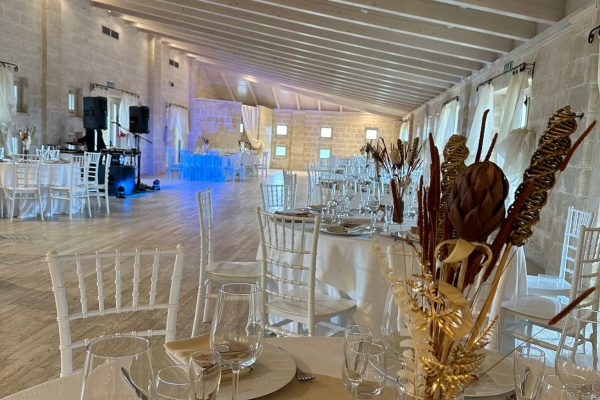 476756264_1013723570780943_8510890347434248844_n